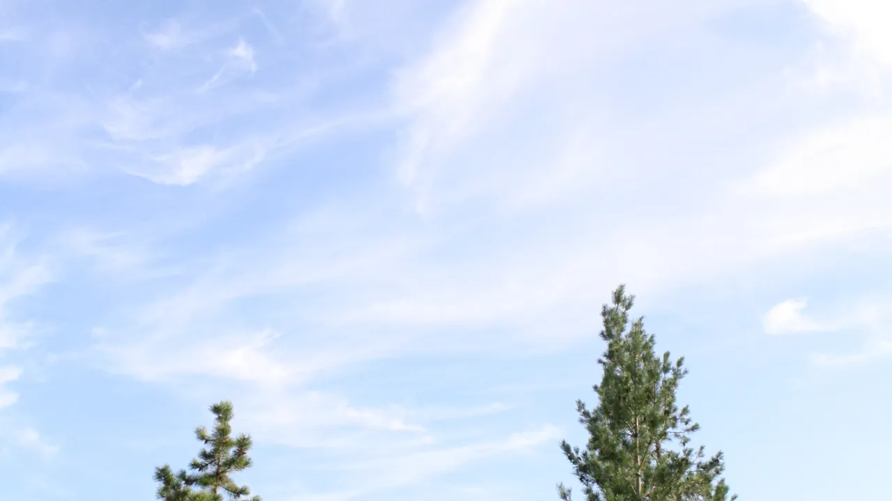Muskoseepi Park and downtown Grande Prairie in Grande Prairie, Alberta
